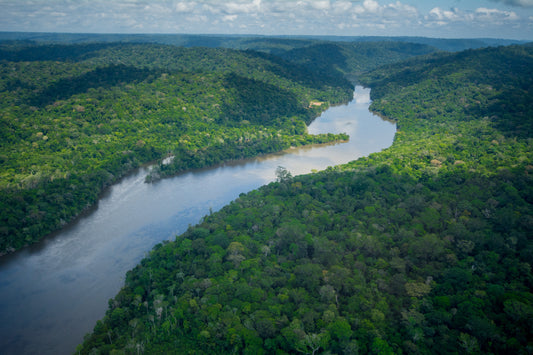 Automatic Offset of Carbon Dioxide Emissions For All Orders