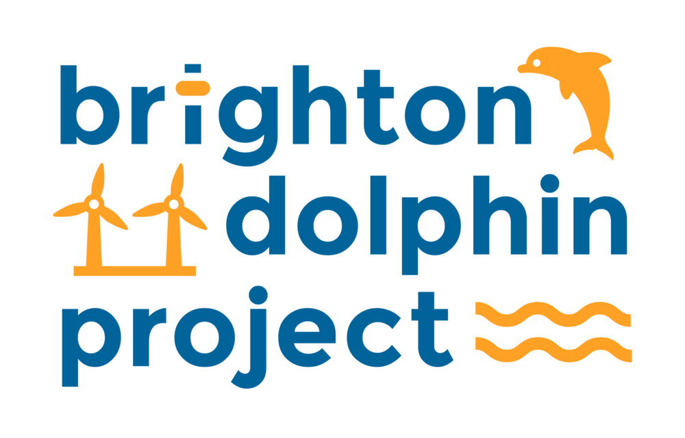 Mintie Supports the Brighton Dolphin Project and so can You!