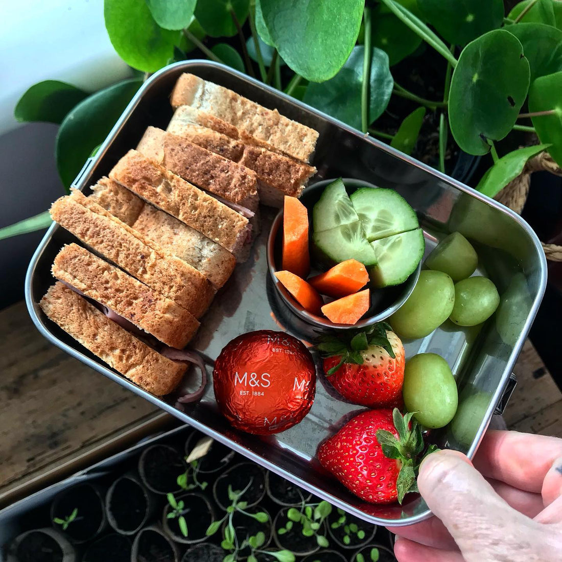 Not sure what to give the kids for packed lunch? Start here for healthy packed lunch ideas