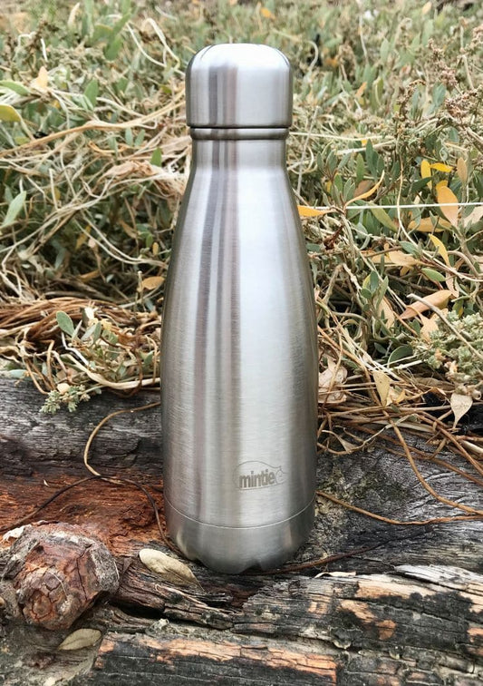 Mintie 350ml Insulated Stainless Steel Drinks Bottle - environmental life